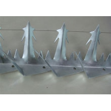 Espigão de parede de aço galvanizado / Pássaro Spike Anti-Climb Barbudos Nails / Spikes de segurança